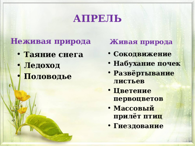 АПРЕЛЬ Неживая природа Живая природа Таяние снега Ледоход Половодье Сокодвижение Набухание почек Развёртывание листьев Цветение первоцветов Массовый прилёт птиц Гнездование 