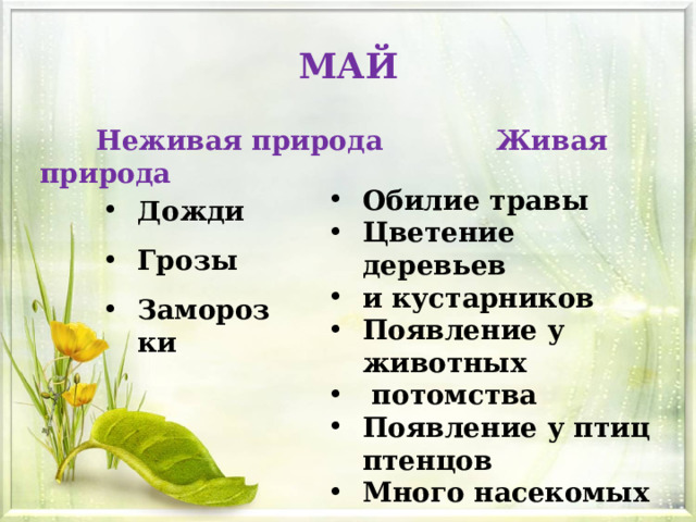 МАЙ  Неживая природа  Живая природа Обилие травы Цветение деревьев и кустарников Появление у животных  потомства Появление у птиц птенцов Много насекомых  Дожди Грозы Заморозки 