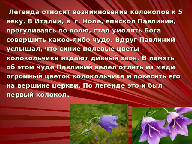  Легенда относит возникновение колоколов к 5 веку. В Италии, в г. Ноле, епископ Павлиний, прогуливаясь по полю, стал умолять Бога совершить какое-либо чудо. Вдруг Павлиний услышал, что синие полевые цветы – колокольчики издают дивный звон. В память об этом чуде Павлиний велел отлить из меди огромный цветок колокольчика и повесить его на вершине церкви. По легенде это и был первый колокол. 