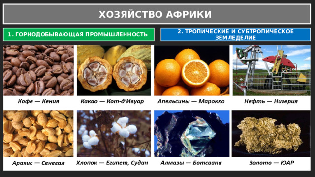 ХОЗЯЙСТВО АФРИКИ 1. ГОРНОДОБЫВАЮЩАЯ ПРОМЫШЛЕННОСТЬ 2. ТРОПИЧЕСКИЕ И СУБТРОПИЧЕСКОЕ ЗЕМЛЕДЕЛИЕ 