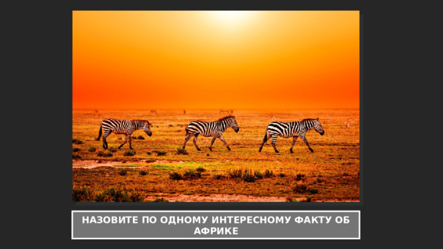 НАЗОВИТЕ ПО ОДНОМУ ИНТЕРЕСНОМУ ФАКТУ ОБ АФРИКЕ 
