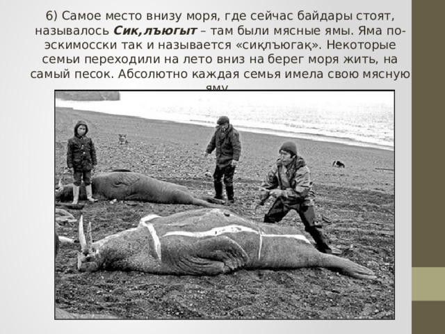 6) Самое место внизу моря, где сейчас байдары стоят, называлось Сик,лъюгыт – там были мясные ямы. Яма по-эскимосски так и называется «сиқлъюгақ». Некоторые семьи переходили на лето вниз на берег моря жить, на самый песок. Абсолютно каждая семья имела свою мясную яму. 