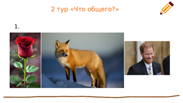 2 тур «Что общего?» 1. 