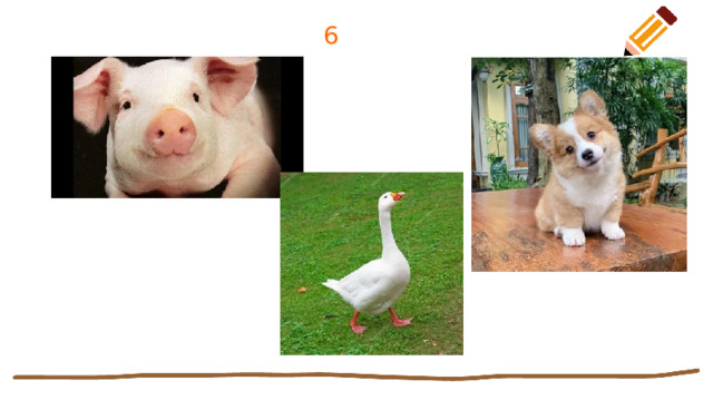 6 