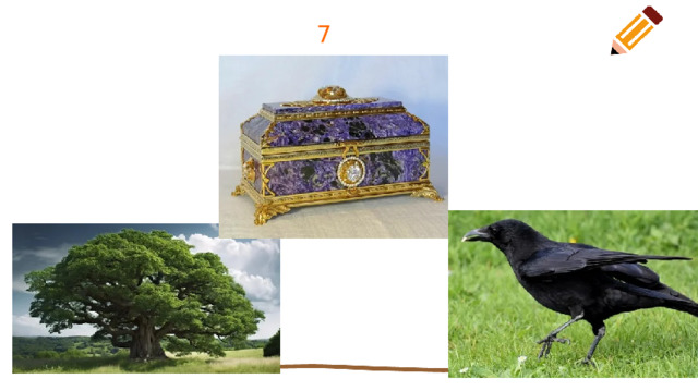 7 