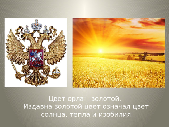 Цвет орла – золотой.  Издавна золотой цвет означал цвет солнца, тепла и изобилия 