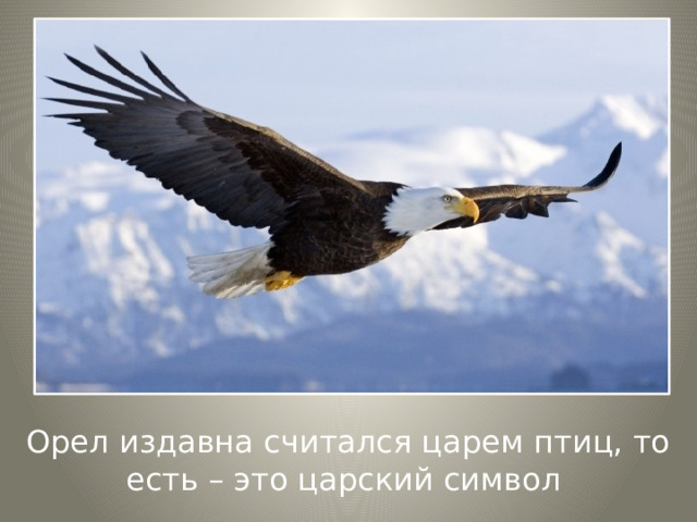 Орел издавна считался царем птиц, то есть – это царский символ 