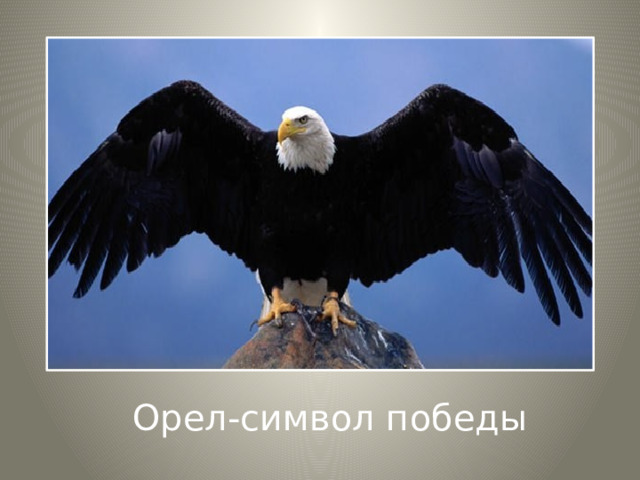 Орел-символ победы 