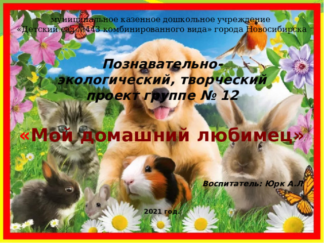 муниципальное казенное дошкольное учреждение «Детский сад №443 комбинированного вида» города Новосибирска Познавательно- экологический, творческий проект группе № 12 « Мой домашний любимец»   Воспитатель: Юрк А.Л   2021 год.  