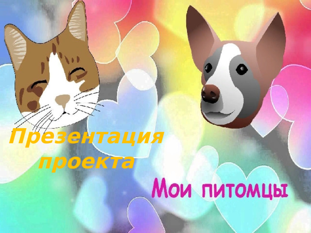 Презентация проекта 