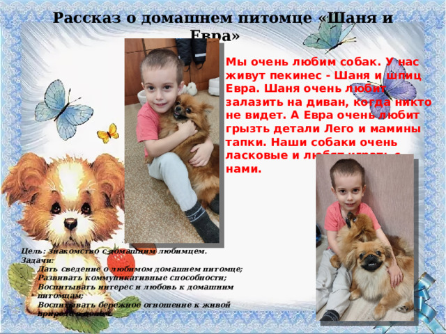 Рассказ о домашнем питомце «Шаня и Евра» Мы очень любим собак. У нас живут пекинес - Шаня и шпиц Евра. Шаня очень любит залазить на диван, когда никто не видет. А Евра очень любит грызть детали Лего и мамины тапки. Наши собаки очень ласковые и любят играть с нами. Цель: знакомство с домашним любимцем. Задачи: Дать сведение о любимом домашнем питомце; Развивать коммуникативные способности; Воспитывать интерес и любовь к домашним питомцам; Воспитывать бережное отношение к живой природе в целом. 