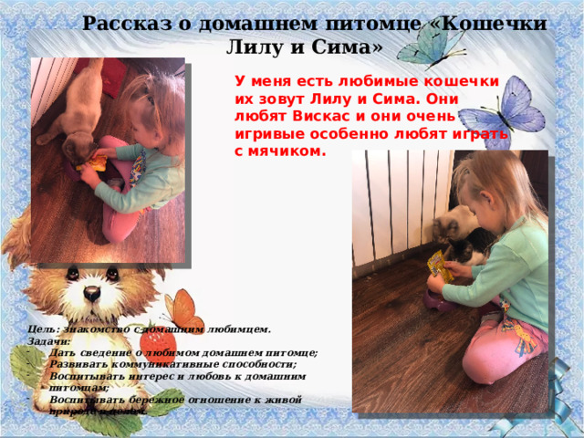 Рассказ о домашнем питомце «Кошечки Лилу и Сима» У меня есть любимые кошечки их зовут Лилу и Сима. Они любят Вискас и они очень игривые особенно любят играть с мячиком. Цель: знакомство с домашним любимцем. Задачи: Дать сведение о любимом домашнем питомце; Развивать коммуникативные способности; Воспитывать интерес и любовь к домашним питомцам; Воспитывать бережное отношение к живой природе в целом. 