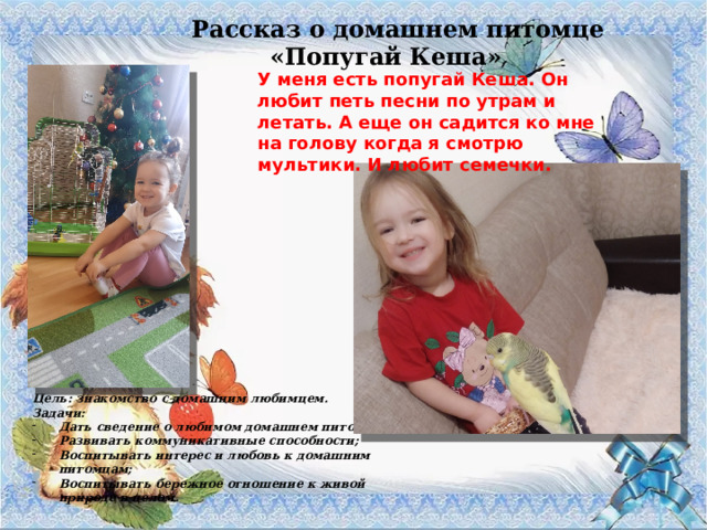Рассказ о домашнем питомце «Попугай Кеша» У меня есть попугай Кеша. Он любит петь песни по утрам и летать. А еще он садится ко мне на голову когда я смотрю мультики. И любит семечки. Цель: знакомство с домашним любимцем. Задачи: Дать сведение о любимом домашнем питомце; Развивать коммуникативные способности; Воспитывать интерес и любовь к домашним питомцам; Воспитывать бережное отношение к живой природе в целом. 