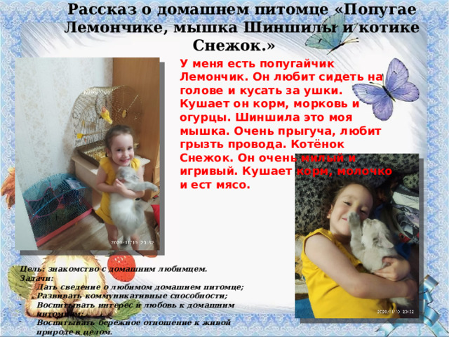 Рассказ о домашнем питомце «Попугае Лемончике, мышка Шиншилы и котике Снежок.» У меня есть попугайчик Лемончик. Он любит сидеть на голове и кусать за ушки. Кушает он корм, морковь и огурцы. Шиншила это моя мышка. Очень прыгуча, любит грызть провода. Котёнок Снежок. Он очень милый и игривый. Кушает корм, молочко и ест мясо. Цель: знакомство с домашним любимцем. Задачи: Дать сведение о любимом домашнем питомце; Развивать коммуникативные способности; Воспитывать интерес и любовь к домашним питомцам; Воспитывать бережное отношение к живой природе в целом. 
