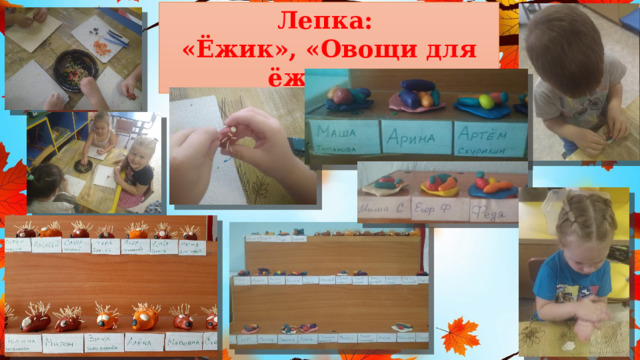 Лепка: «Ёжик», «Овощи для ёжика». 