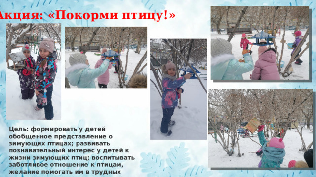 Акция: «Покорми птицу!» Цель: формировать у детей обобщенное представление о зимующих птицах; развивать познавательный интерес у детей к жизни зимующих птиц; воспитывать заботливое отношение к птицам, желание помогать им в трудных зимних условиях. 