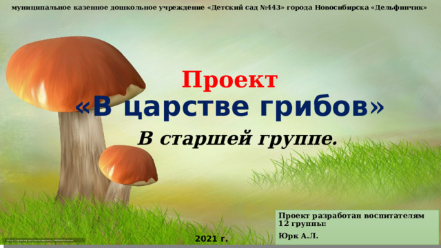 муниципальное казенное дошкольное учреждение «Детский сад №443» города Новосибирска «Дельфинчик» Проект  «В царстве грибов »   В старшей группе.  Проект разработан воспитателям 12 группы: Юрк А.Л. 2021 г. 