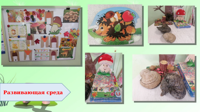 Развивающая среда 