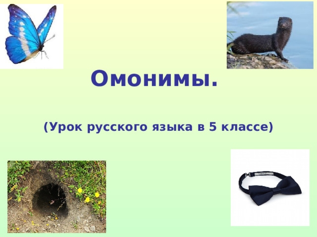 Омонимы.   (Урок русского языка в 5 классе)  