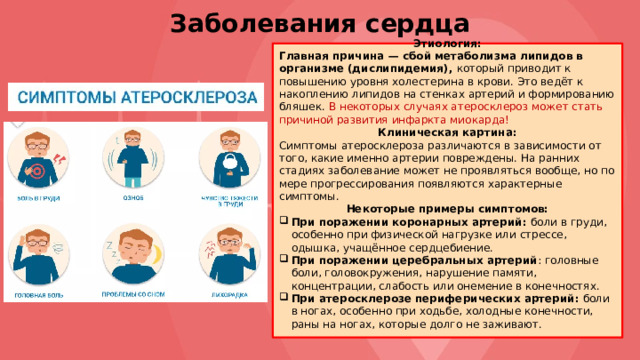 Заболевания сердца Этиология: Главная причина — сбой метаболизма липидов в организме (дислипидемия), который приводит к повышению уровня холестерина в крови. Это ведёт к накоплению липидов на стенках артерий и формированию бляшек. В некоторых случаях атеросклероз может стать причиной развития инфаркта миокарда! Клиническая картина: Симптомы атеросклероза различаются в зависимости от того, какие именно артерии повреждены. На ранних стадиях заболевание может не проявляться вообще, но по мере прогрессирования появляются характерные симптомы. Некоторые примеры симптомов: При поражении коронарных артерий: боли в груди, особенно при физической нагрузке или стрессе, одышка, учащённое сердцебиение. При поражении церебральных артерий : головные боли, головокружения, нарушение памяти, концентрации, слабость или онемение в конечностях. При атеросклерозе периферических артерий: боли в ногах, особенно при ходьбе, холодные конечности, раны на ногах, которые долго не заживают. 