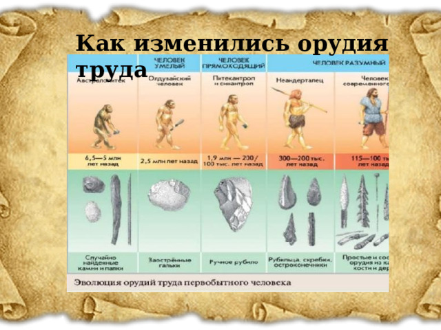 Как изменились орудия труда 