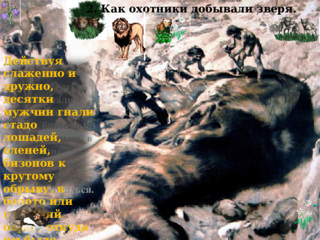 2. Как охотники добывали зверя. Действуя слаженно и дружно, десятки мужчин гнали стадо лошадей, оленей, бизонов к крутому обрыву, в болото или глубокий овраг, откуда им было трудно выбраться. 14 