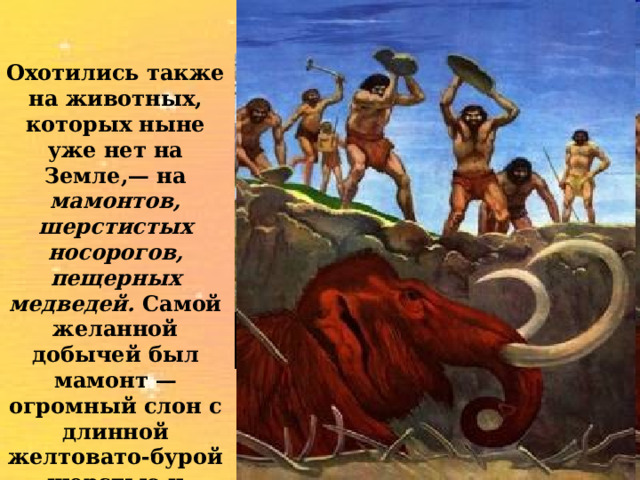 Охотились также на животных, которых ныне уже нет на Земле,— на мамонтов, шерстистых носорогов, пещерных медведей. Самой желанной добычей был мамонт — огромный слон с длинной желтовато-бурой шерстью и сильно изогнутыми бивнями. 14 
