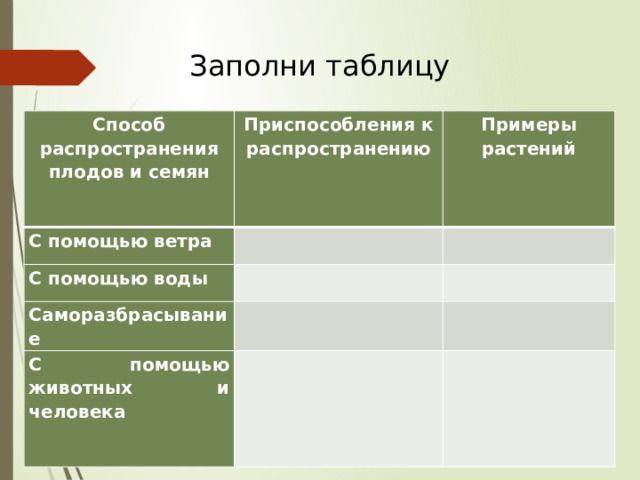 Заполни таблицу Способ распространения плодов и семян Приспособления к распространению С помощью ветра Примеры растений   С помощью воды     Саморазбрасывание     С помощью животных и человека       