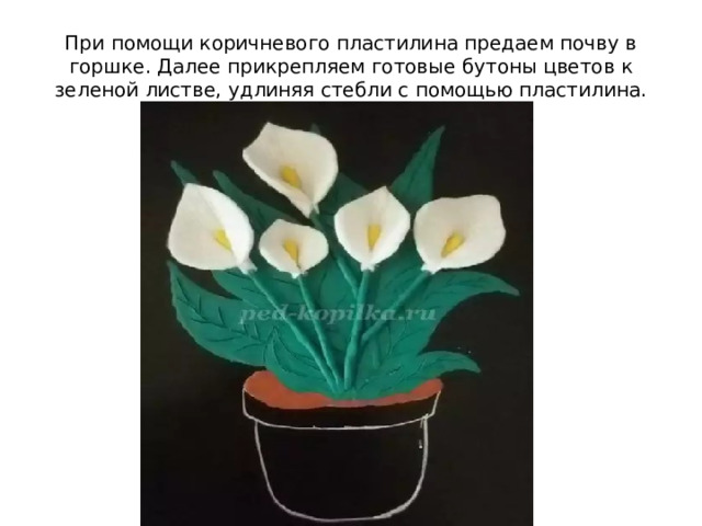 При помощи коричневого пластилина предаем почву в горшке. Далее прикрепляем готовые бутоны цветов к зеленой листве, удлиняя стебли с помощью пластилина. 