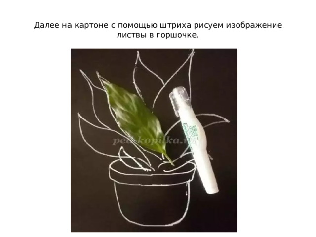 Далее на картоне с помощью штриха рисуем изображение листвы в горшочке. 