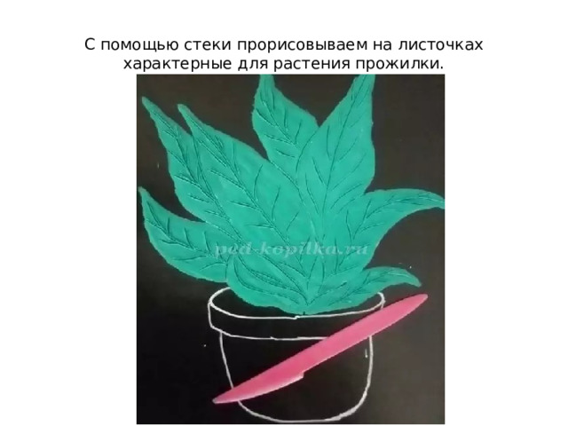С помощью стеки прорисовываем на листочках характерные для растения прожилки. 