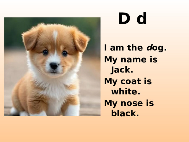 D d I am the d og. My name is Jack. My coat is white. My nose is black. http://startledsheep.co.uk/images/white_dog.jpg  