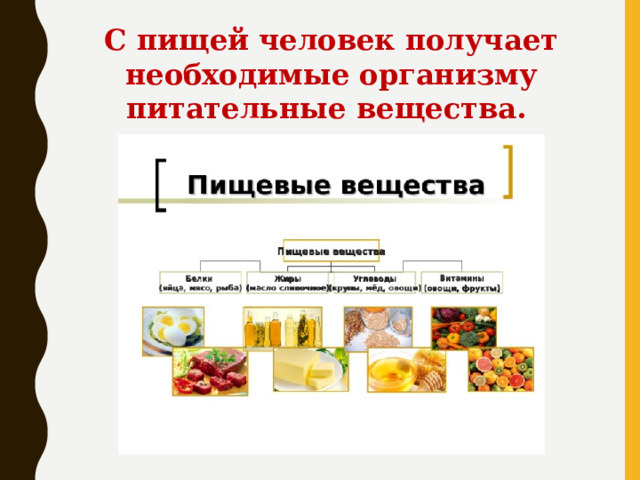 С пищей человек получает необходимые организму питательные вещества.  