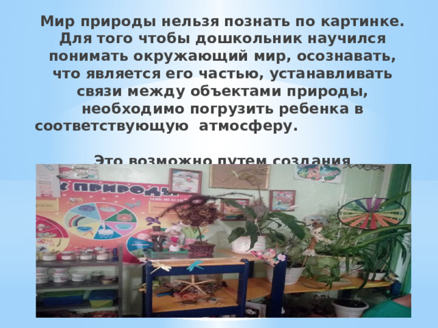 Мир природы нельзя познать по картинке. Для того чтобы дошкольник научился понимать окружающий мир, осознавать, что является его частью, устанавливать связи между объектами природы, необходимо погрузить ребенка в соответствующую атмосферу.  Это возможно путем создания разнообразных уголков природы в группах .   