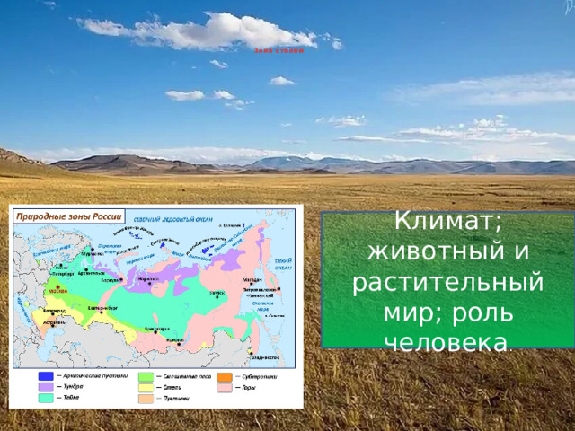 Зона степей Климат; животный и растительный мир; роль человека . 