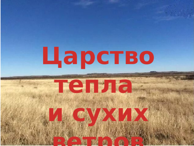 Царство тепла и сухих ветров 