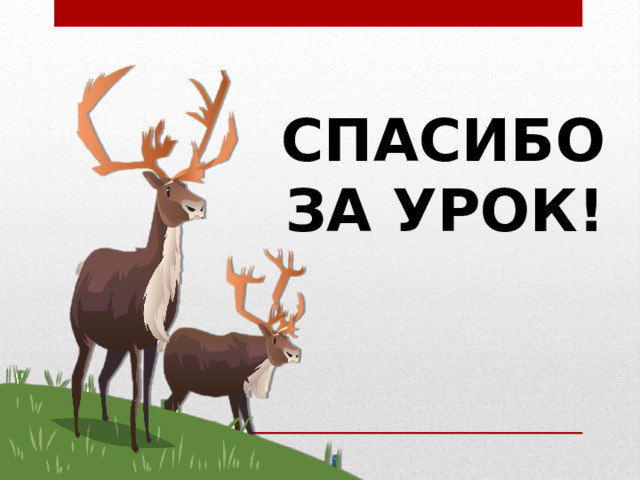 СПАСИБО ЗА УРОК! 
