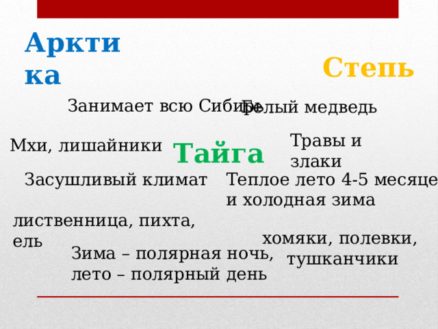 Арктика Степь Занимает всю Сибирь Белый медведь Травы и злаки Мхи, лишайники Тайга Засушливый климат Теплое лето 4-5 месяцев и холодная зима лиственница, пихта, ель хомяки, полевки, тушканчики Зима – полярная ночь, лето – полярный день 