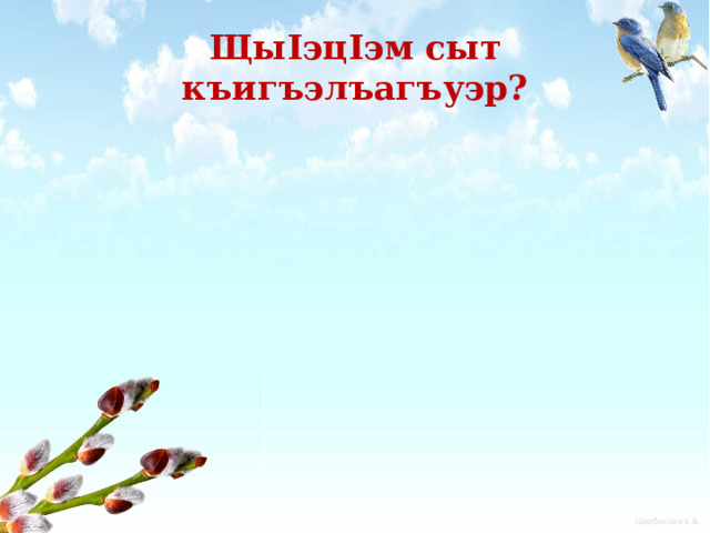 ЩыIэцIэм сыт къигъэлъагъуэр? 