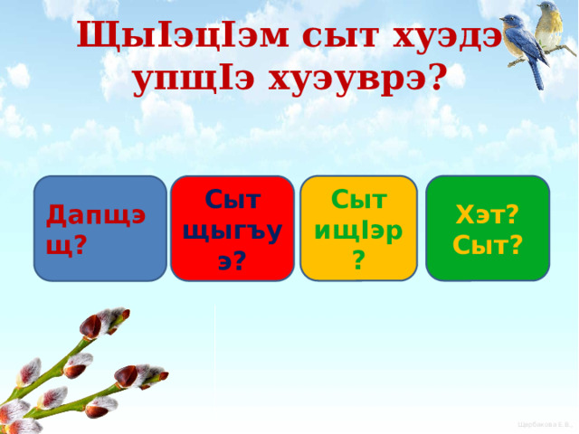 ЩыIэцIэм сыт хуэдэ упщIэ хуэуврэ? Сыт ищIэр? Хэт? Сыт? Дапщэщ? Сыт щыгъуэ? 