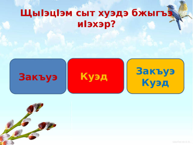 ЩыIэцIэм сыт хуэдэ бжыгъэ иIэхэр? Куэд Закъуэ Куэд Закъуэ 