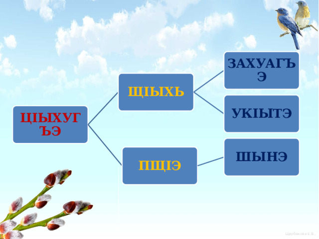 ЗAХУАГЪЭ ЩIЫХЬ УКIЫТЭ ЦIЫХУГЪЭ ШЫНЭ ПЩIЭ 