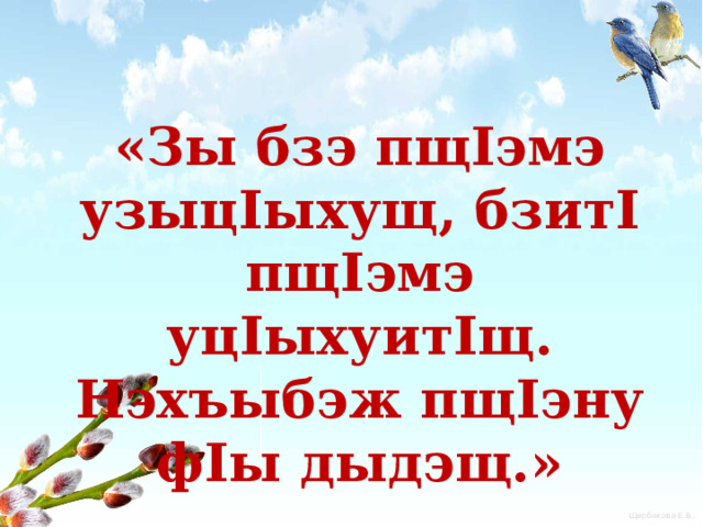 «Зы бзэ пщIэмэ узыцIыхущ, бзитI пщIэмэ уцIыхуитIщ. Нэхъыбэж пщIэну фIы дыдэщ.» 