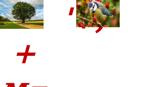  '+, + м = 