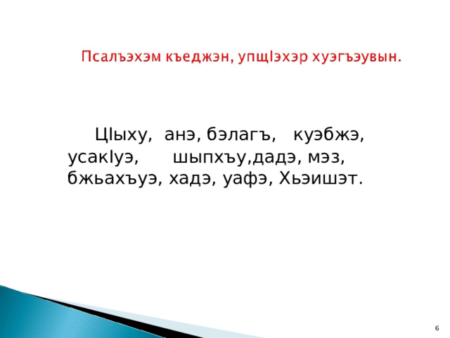 Ц I ыху, анэ, бэлагъ, куэбжэ, усак I уэ, шыпхъу,дадэ, мэз, бжьахъуэ, хадэ, уафэ, Хьэишэт.   