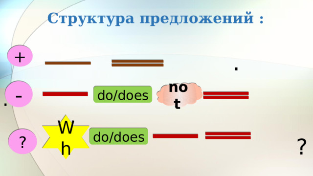 Структура предложений :  .  .  ? + - not  do/does Wh do/does ? 