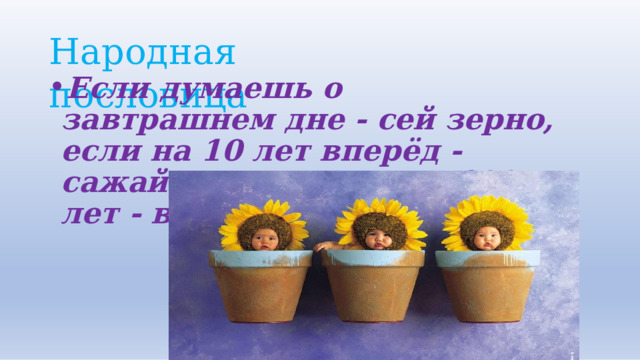 Народная  пословица Если  думаешь  о  завтрашнем  дне  -  сей зерно,  если  на  10  лет  вперёд  -  сажай лес,  если  же  на  100  лет  -  воспитывай детей. 