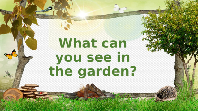 What can you see in the garden? 