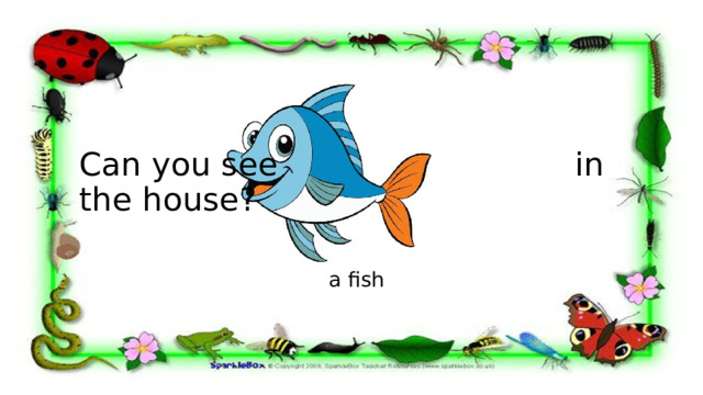 Can you see in the house? a fish 