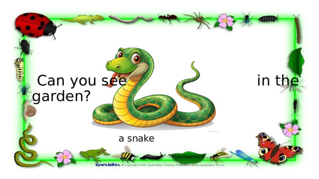  Can you see in the garden? a snake 